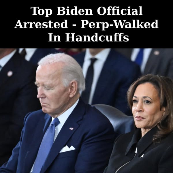 Former Biden Administration Staffer Pleads Guilty in Massive Fraud Scheme