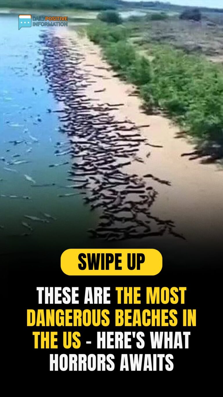 Don’t Swim Here: Most Treacherous American Beaches And Their Hidden Dangers